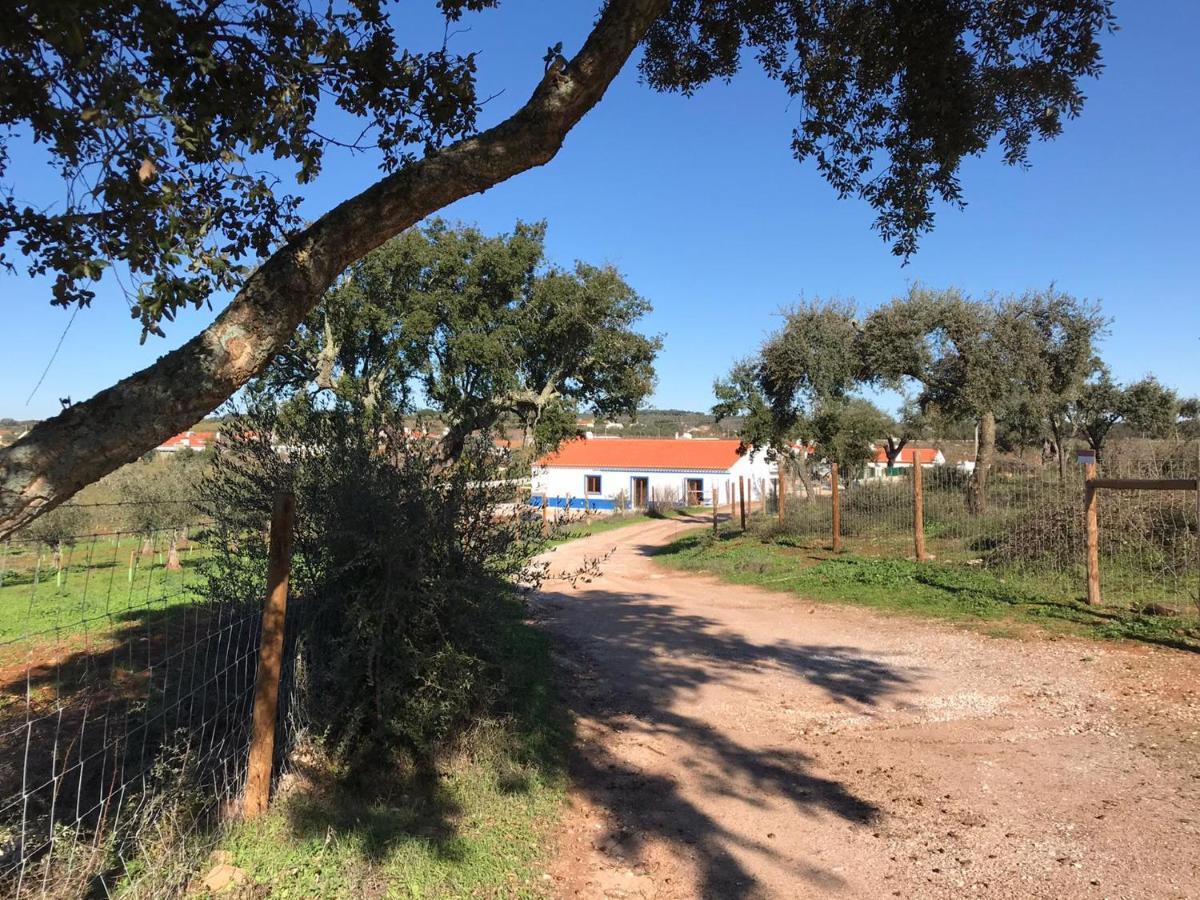 Herdade Da Maridona - Agroturismo Estremoz Kültér fotó