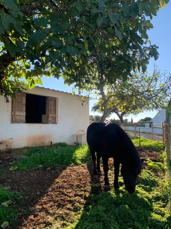 Herdade Da Maridona - Agroturismo Estremoz Kültér fotó